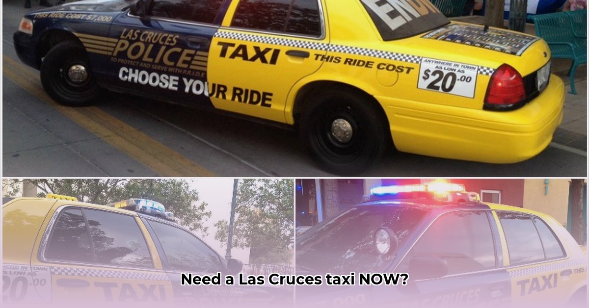 las-cruces-taxi-las-cruces-nm